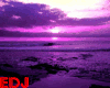 EDJ Purple Background