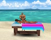 Beach Massage Bed /Poses
