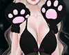 Meow Avi