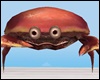 *Y* funny Crab