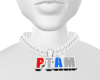 ptam custom