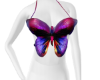 Butterfly Dream Top V1