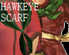 Hawkeye Scarf