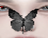 C_Black Anim Butterfly