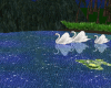 SWAN wedding room p/b