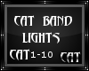 CatDJ Banner Cat1-10
