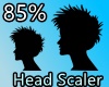 85% HEAD SCALER