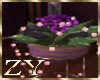 ZY: Endless Love Plants
