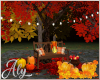 Autumn Tree & Bench