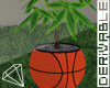 ✪ Plant Basketball
