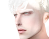 Head Aries