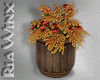 Fall WhiskeyBarrel Plant