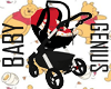 Carseat & Stroller V5