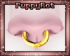 Kibear Septum G2