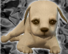 [AM]Cute Cramel Dog