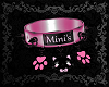 Pink Collar Mini's