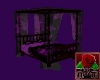 {NRT} Violet Flower Bed