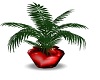 red hearts vase & fern
