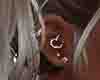 valentine day aretes