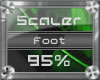 (3) Feet (95%)