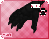 [Pets] Vimi | claws