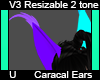 Caracal Ears DEV V3