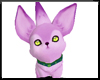 ∘ Purple Fox Pet