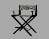 Zebra Make up Chair