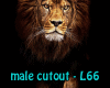 Lion Male Cutout L66