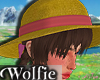 W | Sophies Hat AddOn