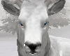 Winter ▲ Deer 1
