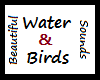 Birds and Water Sounds