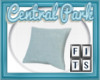 central park pillow 1