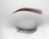 Eyebrows Blonde