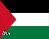 Palestine Magic Flag
