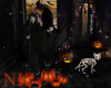 Witch Halloween Bundle
