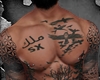ملك Sx Tatto+body