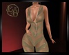 LB-  RLLTRANSPARENT BODY