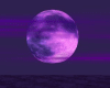 cielo con luna violeta 2