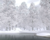 snowy lake backdrop