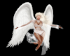 Angel Fairy Flying