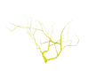 Pride Light Tree
