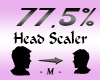 Head Scaler 77,5%