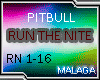 Pit Bull,we run the nite