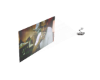 Belly Projector
