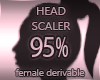 Head Resizer 95%