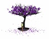 silver purple tree