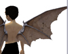 Josevi´s vampire wings