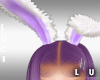 Lilac bunny ears