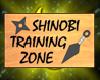 -TWS- Shinobi training
